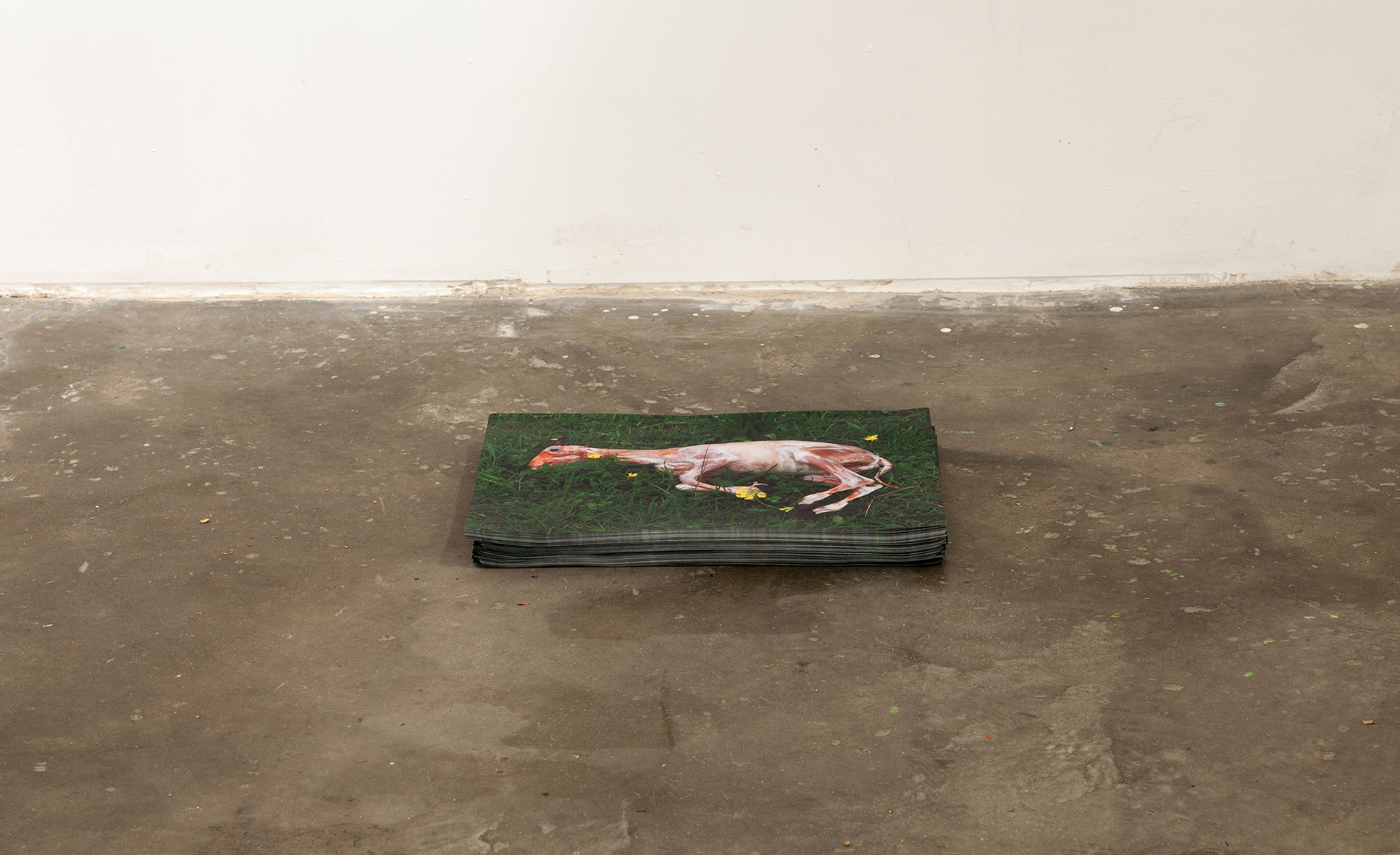 Installation view “Slaughtered lamb in the spring”