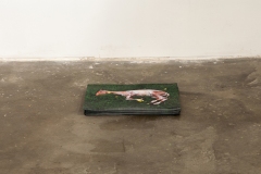 Installation view “Slaughtered lamb in the spring”
