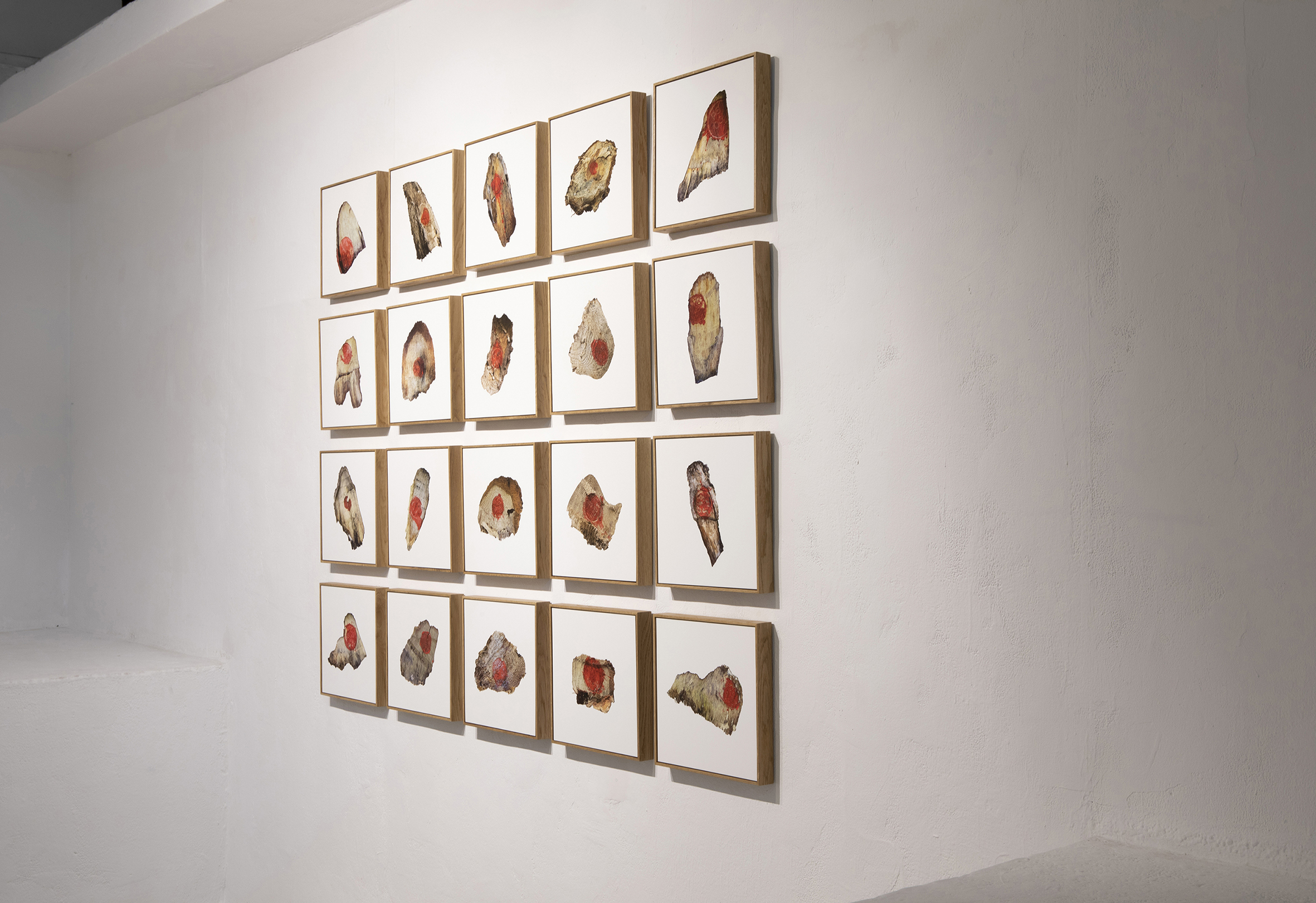 Installation view from the series Red Traces