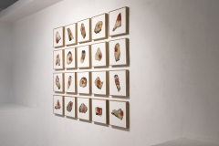 Installation view from the series Red Traces