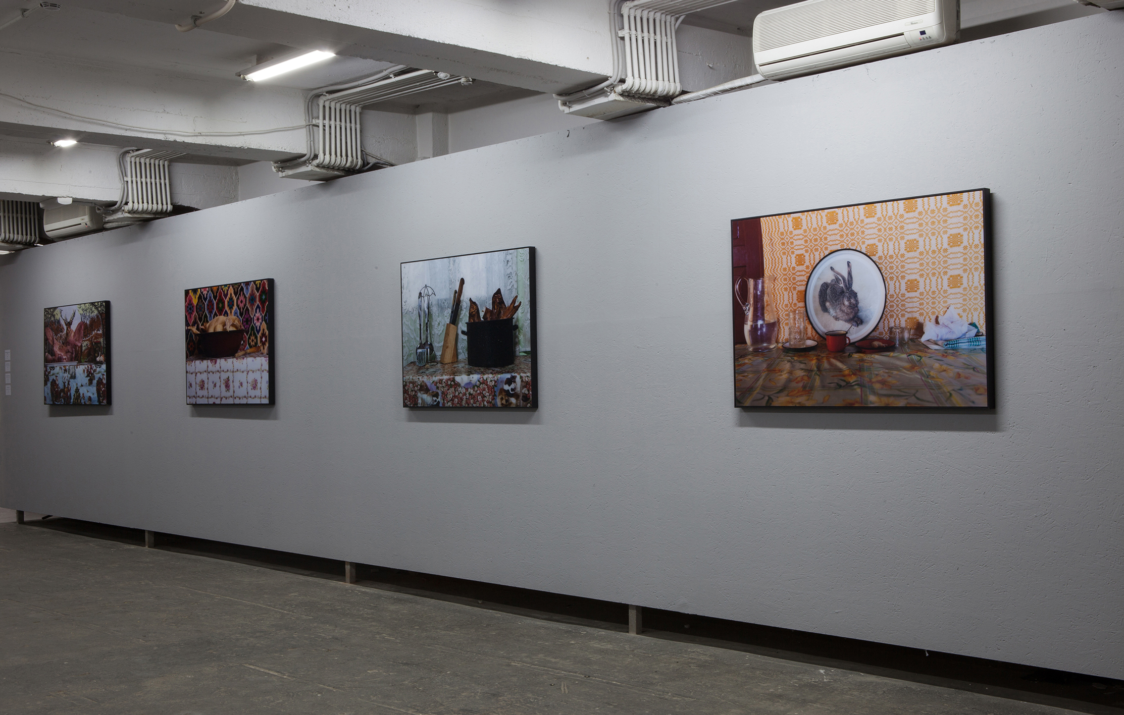 Installation view from the series “Nature Morte”